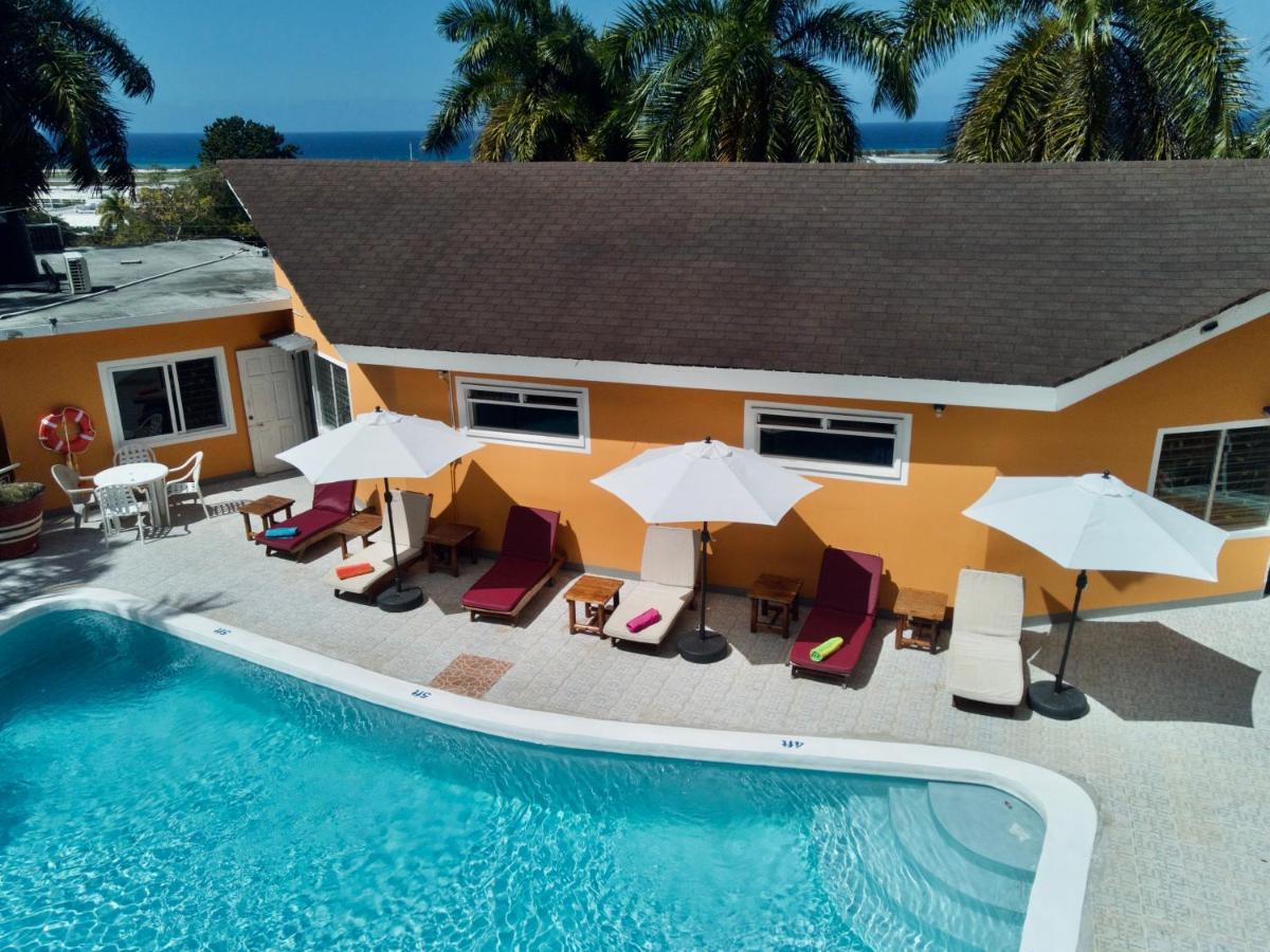 The Blue Orchid B&B Montego Bay Exterior photo