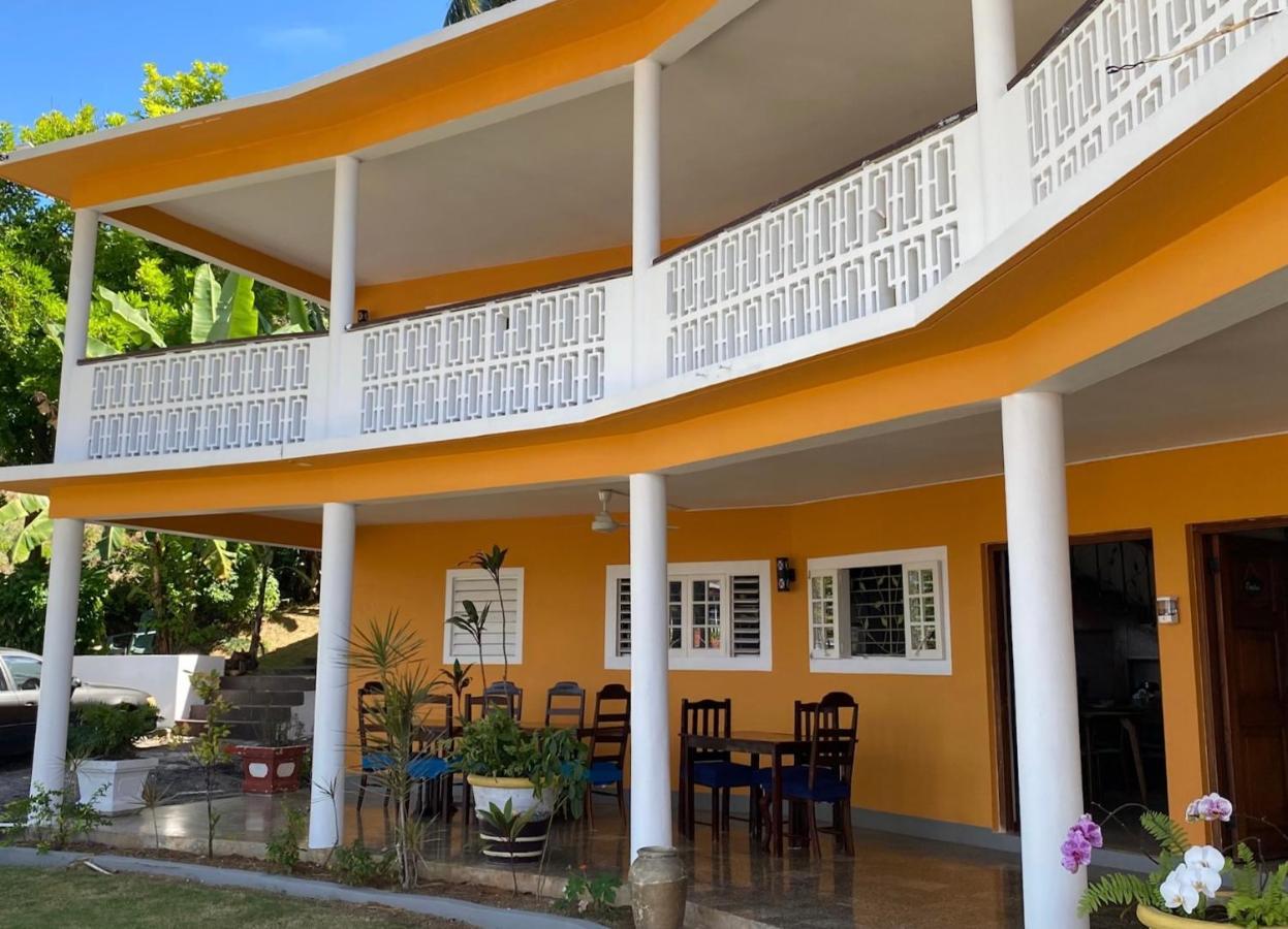 The Blue Orchid B&B Montego Bay Exterior photo